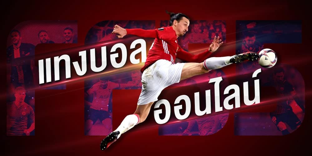 photo 2022 11 13 23 35 02 4