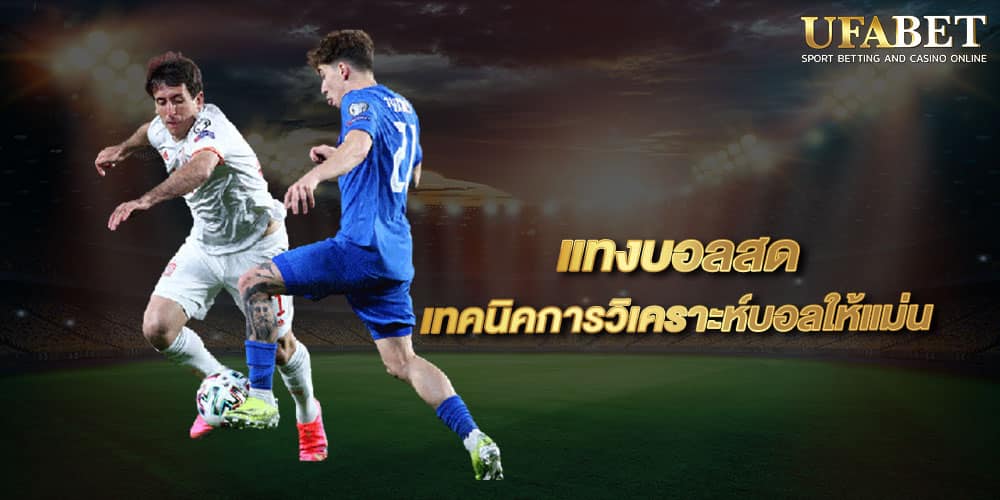 photo 2023 06 16 03 18 14 2