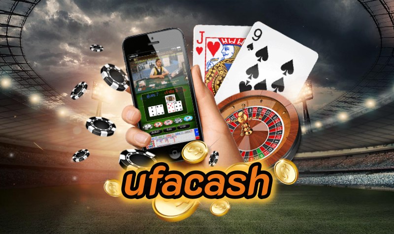 photo 2023 08 19 03 04 03 4